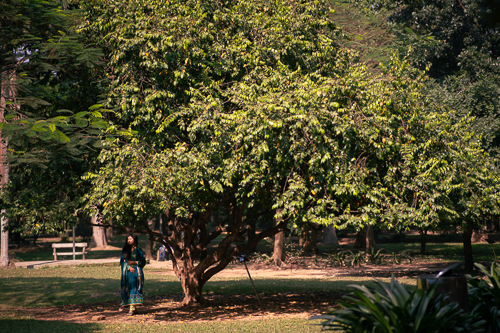 Outdoor Photo 8